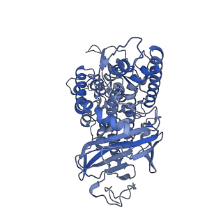 36870_8k42_W_v1-0
Structure of full Banna virus