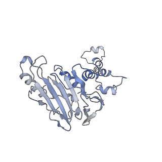 36872_8k44_B_v1-0
Structure of VP9 in Banna virus