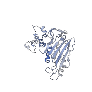 36872_8k44_C_v1-0
Structure of VP9 in Banna virus