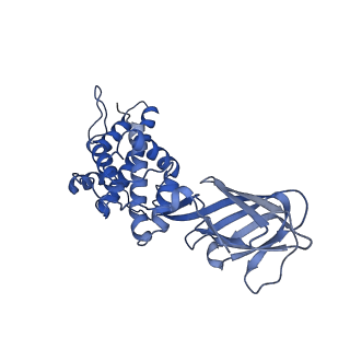 36880_8k49_C_v1-0
Structure of partial Banna virus