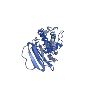 36880_8k49_D_v1-0
Structure of partial Banna virus