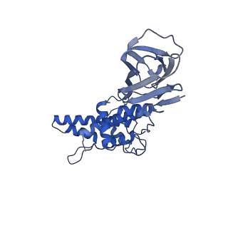 36880_8k49_E_v1-0
Structure of partial Banna virus