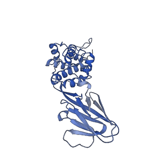 36880_8k49_F_v1-0
Structure of partial Banna virus