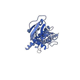 36880_8k49_G_v1-0
Structure of partial Banna virus