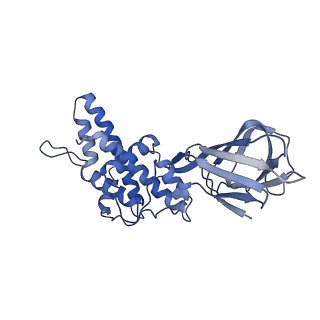 36880_8k49_H_v1-0
Structure of partial Banna virus