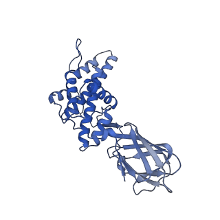 36880_8k49_I_v1-0
Structure of partial Banna virus