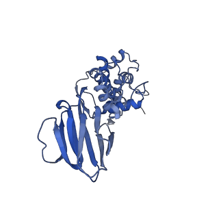 36880_8k49_J_v1-0
Structure of partial Banna virus