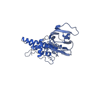 36880_8k49_K_v1-0
Structure of partial Banna virus