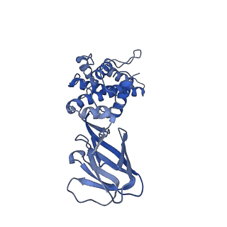 36880_8k49_L_v1-0
Structure of partial Banna virus