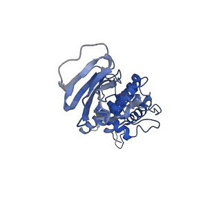 36880_8k49_M_v1-0
Structure of partial Banna virus