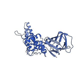 36880_8k49_N_v1-0
Structure of partial Banna virus