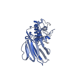 36880_8k49_O_v1-0
Structure of partial Banna virus