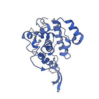 36880_8k49_P_v1-0
Structure of partial Banna virus