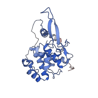 36880_8k49_Q_v1-0
Structure of partial Banna virus