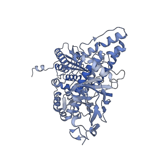 36880_8k49_R_v1-0
Structure of partial Banna virus