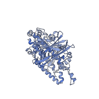 36880_8k49_T_v1-0
Structure of partial Banna virus