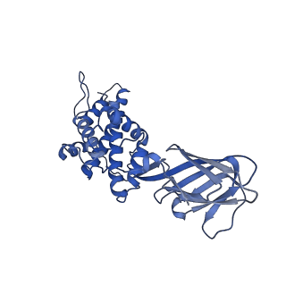 36881_8k4a_C_v1-0
Structure of Banna virus core