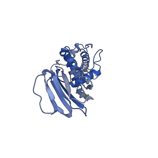 36881_8k4a_D_v1-0
Structure of Banna virus core