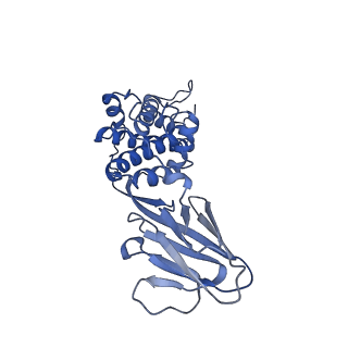 36881_8k4a_F_v1-0
Structure of Banna virus core