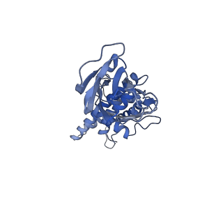 36881_8k4a_G_v1-0
Structure of Banna virus core