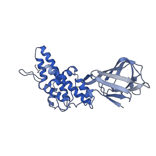 36881_8k4a_H_v1-0
Structure of Banna virus core