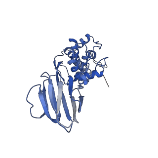 36881_8k4a_J_v1-0
Structure of Banna virus core