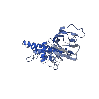 36881_8k4a_K_v1-0
Structure of Banna virus core