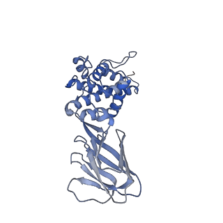 36881_8k4a_L_v1-0
Structure of Banna virus core