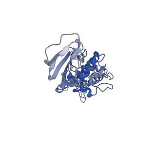 36881_8k4a_M_v1-0
Structure of Banna virus core