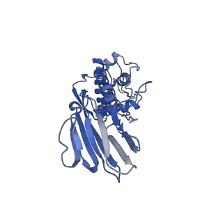 36881_8k4a_O_v1-0
Structure of Banna virus core