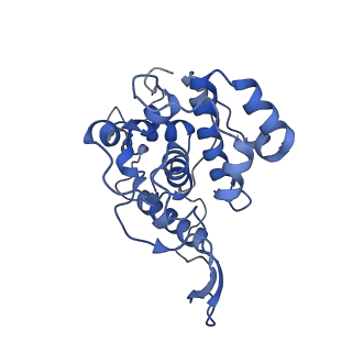 36881_8k4a_P_v1-0
Structure of Banna virus core