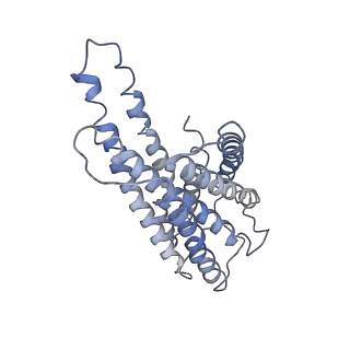 36887_8k4n_D_v1-0
Structure of GPR34-Gi complex