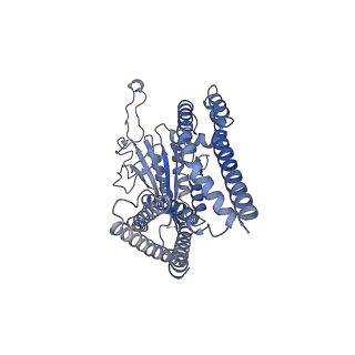 8200_5k47_A_v1-7
CryoEM structure of the human Polycystin-2/PKD2 TRP channel