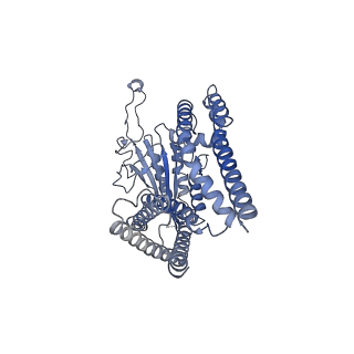 8200_5k47_A_v2-1
CryoEM structure of the human Polycystin-2/PKD2 TRP channel