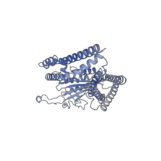 8200_5k47_B_v1-7
CryoEM structure of the human Polycystin-2/PKD2 TRP channel