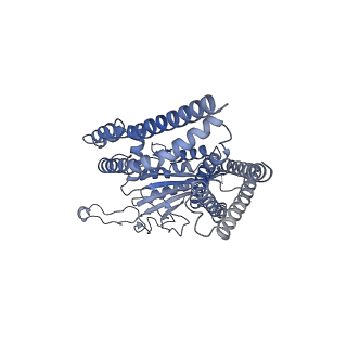 8200_5k47_B_v2-1
CryoEM structure of the human Polycystin-2/PKD2 TRP channel