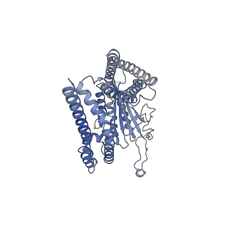 8200_5k47_C_v1-7
CryoEM structure of the human Polycystin-2/PKD2 TRP channel