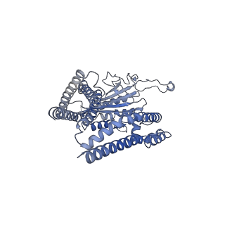 8200_5k47_D_v1-7
CryoEM structure of the human Polycystin-2/PKD2 TRP channel