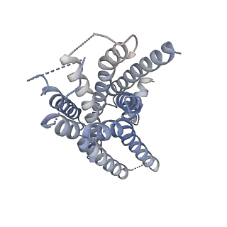 9911_6k41_R_v1-2
cryo-EM structure of alpha2BAR-GoA complex