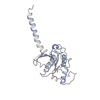 9912_6k42_A_v1-2
cryo-EM structure of alpha2BAR-Gi1 complex
