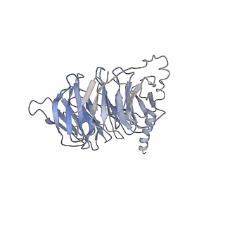 9912_6k42_B_v1-2
cryo-EM structure of alpha2BAR-Gi1 complex