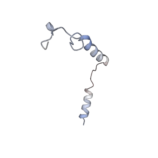 9912_6k42_G_v1-2
cryo-EM structure of alpha2BAR-Gi1 complex