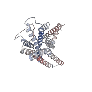 9912_6k42_R_v1-2
cryo-EM structure of alpha2BAR-Gi1 complex