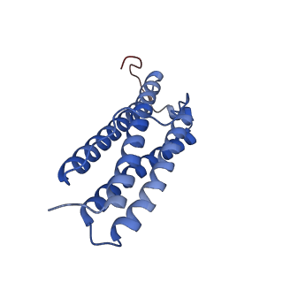 9913_6k43_A_v1-1
Cryo-EM structure of Holo-bacterioferritin-form-I from Streptomyces coelicolor