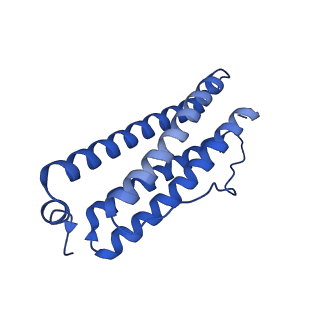 9913_6k43_B_v1-1
Cryo-EM structure of Holo-bacterioferritin-form-I from Streptomyces coelicolor