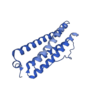 9913_6k43_B_v1-2
Cryo-EM structure of Holo-bacterioferritin-form-I from Streptomyces coelicolor