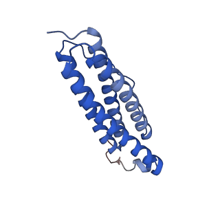 9913_6k43_C_v1-1
Cryo-EM structure of Holo-bacterioferritin-form-I from Streptomyces coelicolor