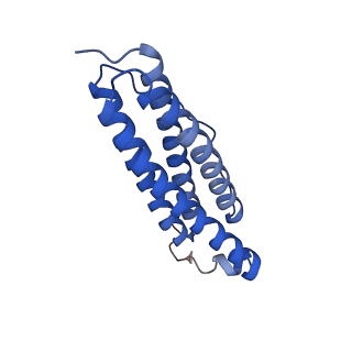 9913_6k43_C_v1-2
Cryo-EM structure of Holo-bacterioferritin-form-I from Streptomyces coelicolor