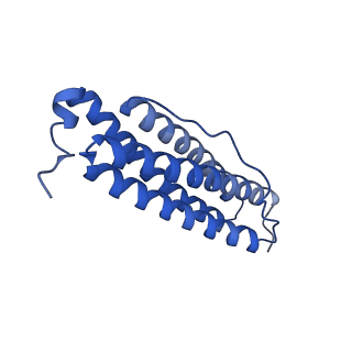 9913_6k43_D_v1-1
Cryo-EM structure of Holo-bacterioferritin-form-I from Streptomyces coelicolor