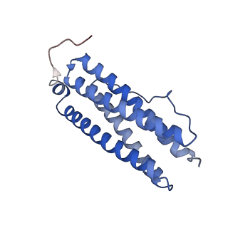 9913_6k43_E_v1-1
Cryo-EM structure of Holo-bacterioferritin-form-I from Streptomyces coelicolor